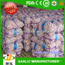 Chinese small garlic